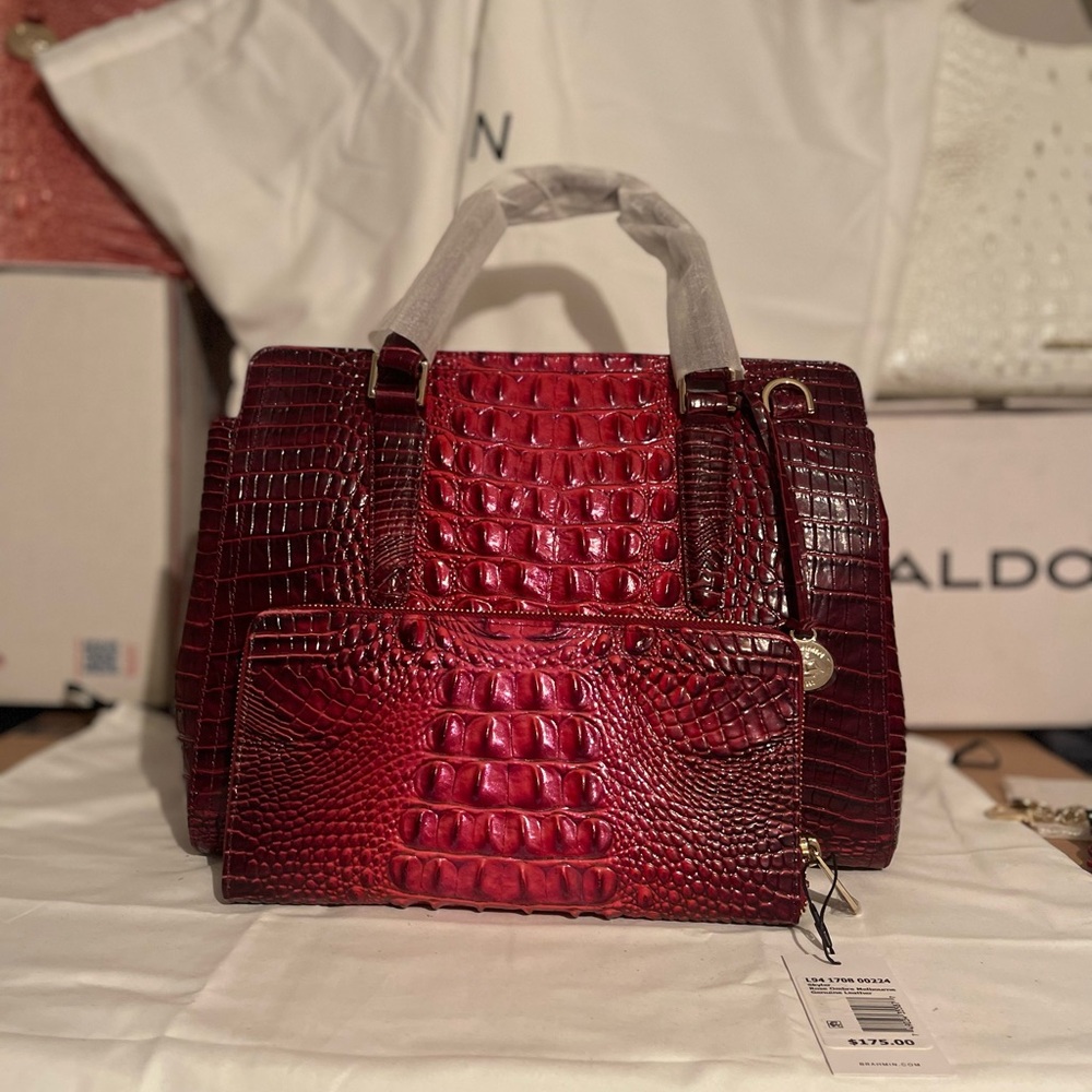 Brahmin Small Elaine & Skyler Rose Ombre